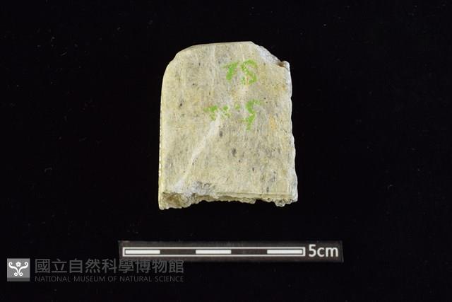 錛鑿形器藏品圖，第1張