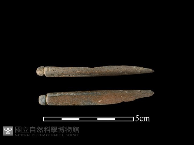 網墜藏品圖，第1張