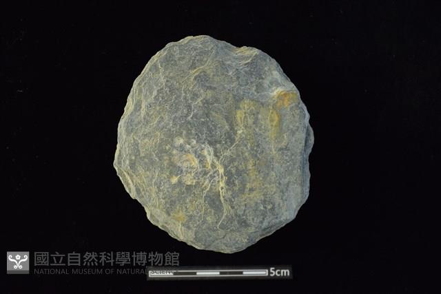 石圓片藏品圖，第1張