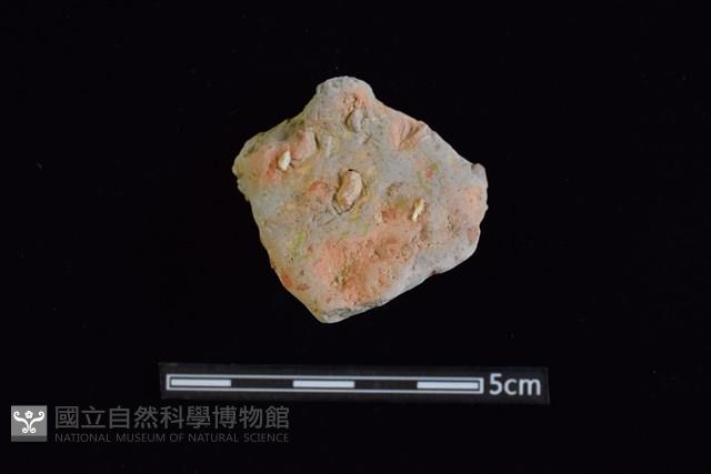 陶罐藏品圖，第1張