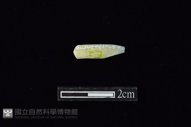 玉料藏品圖，第1張