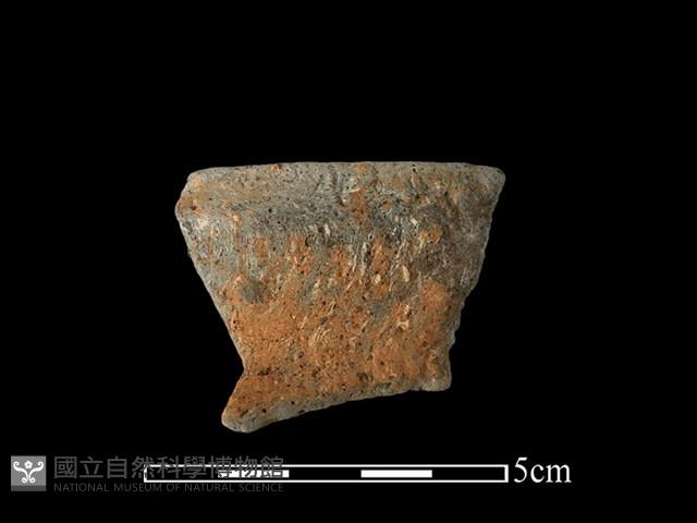 陶罐藏品圖，第1張