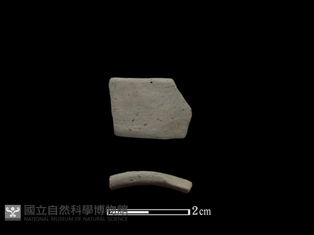 陶環藏品圖，第1張