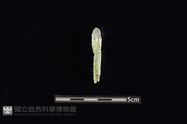 玉料藏品圖，第1張