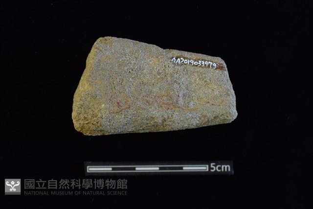 Accession Number:AA2019033979 Collection Image, Figure 2, Total 2 Figures