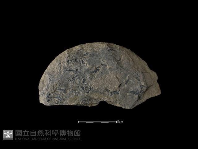 圓板形石器藏品圖，第1張