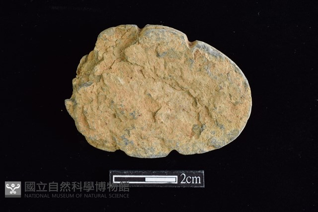 網墜藏品圖，第1張