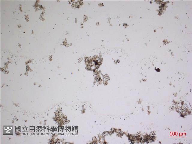 登錄號:A00004619藏品圖，第2張