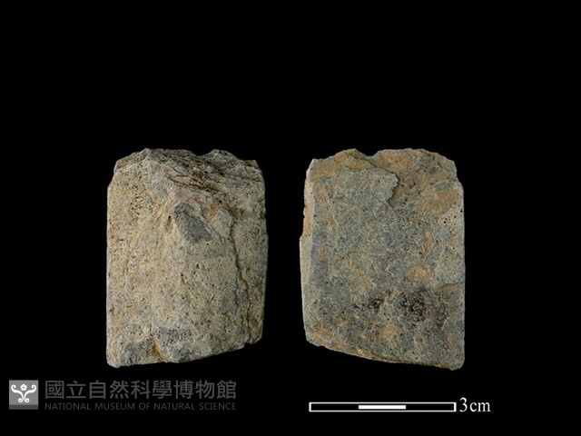 矛鏃形器藏品圖，第1張