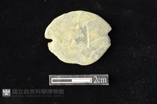 網墜藏品圖，第1張