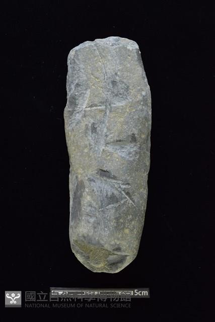 石鎚藏品圖，第1張