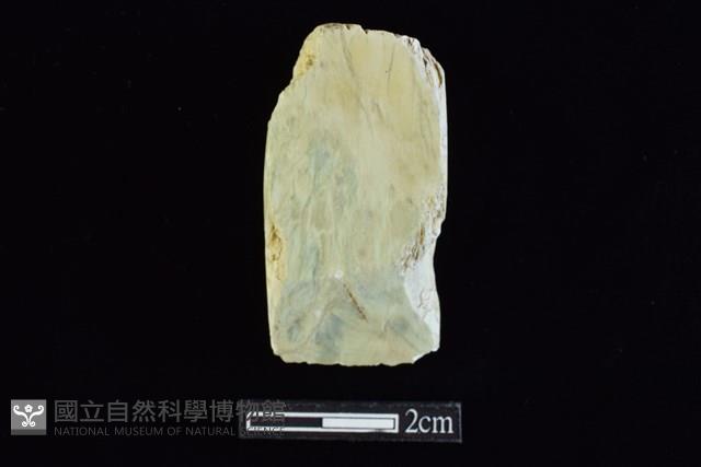 錛鑿形器藏品圖，第1張