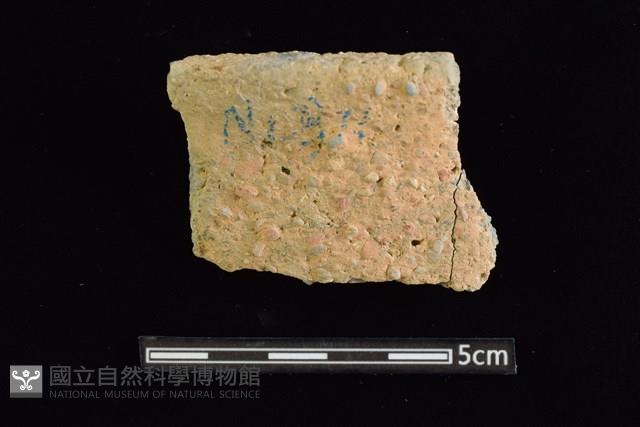 陶缽藏品圖，第1張