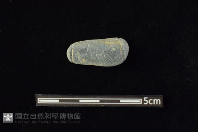 網墜藏品圖，第1張