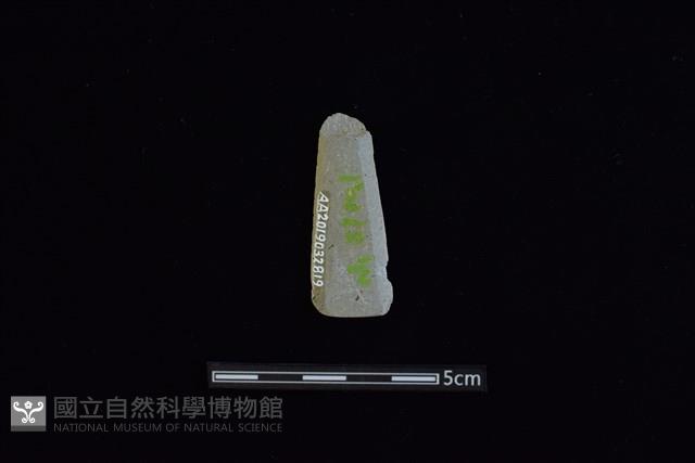 矛鏃形器藏品圖，第2張