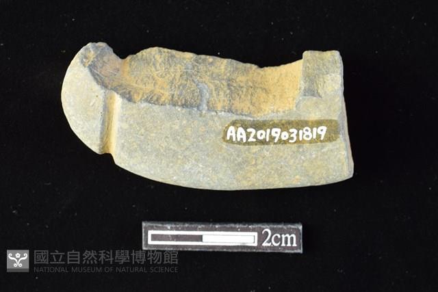 網墜藏品圖，第2張