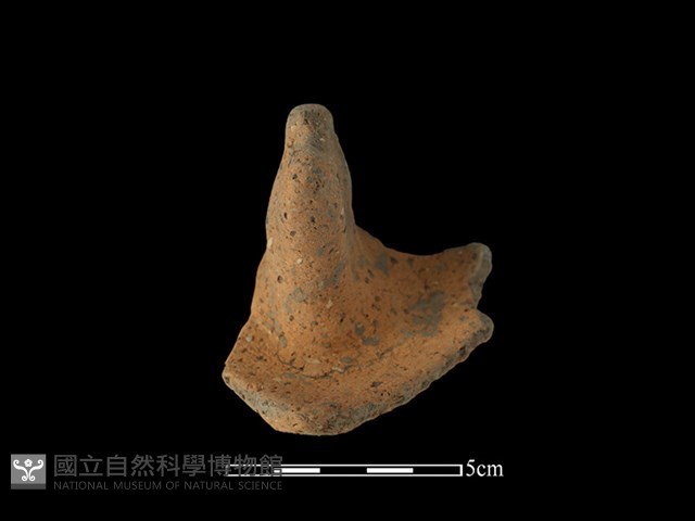 陶蓋及鈕藏品圖，第2張