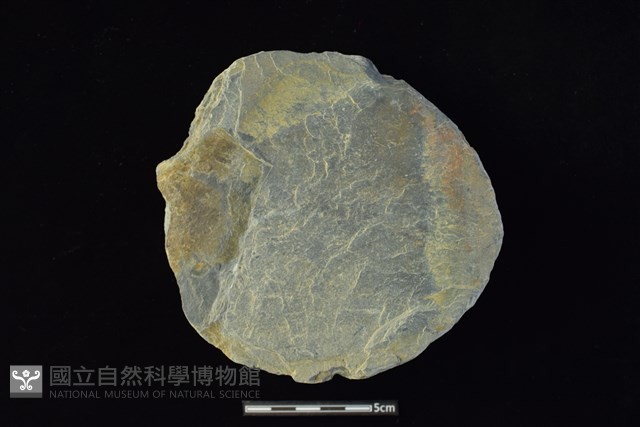 石圓片藏品圖，第1張