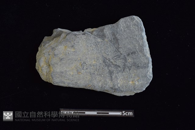 石器殘件藏品圖，第1張