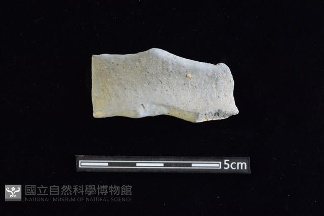 陶罐藏品圖，第1張