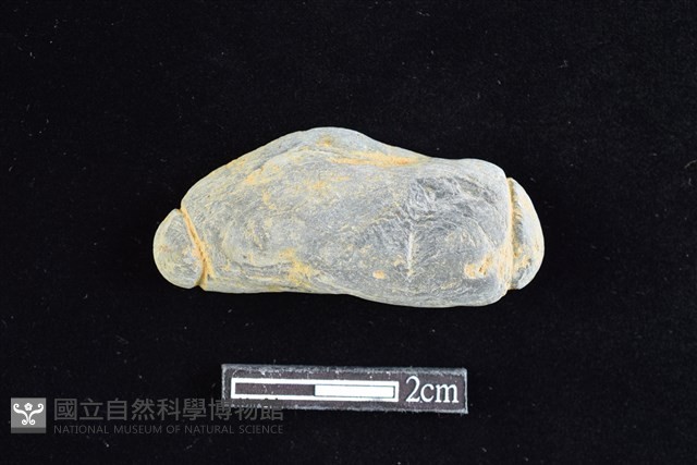 網墜藏品圖，第1張