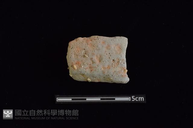 陶罐藏品圖，第1張