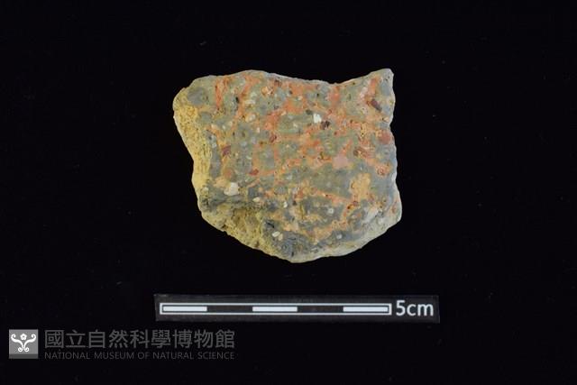 陶片藏品圖，第1張