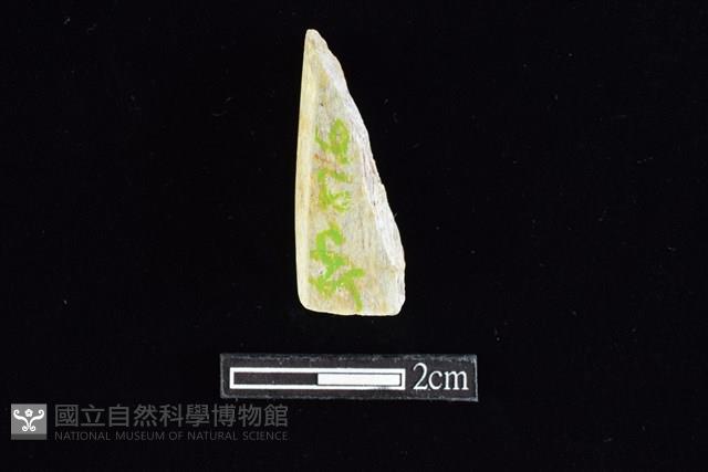 錛鑿形器藏品圖，第2張