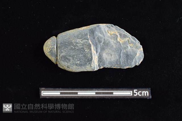 網墜藏品圖，第1張