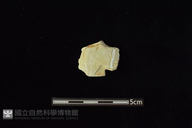 矛鏃形器藏品圖，第2張