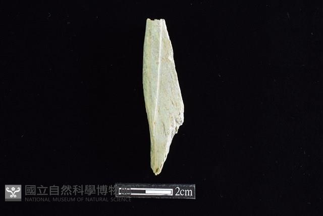 錛鑿形器藏品圖，第1張