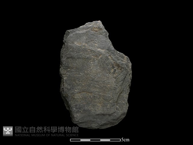 斧鋤形器藏品圖，第1張