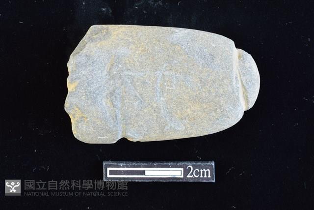 網墜藏品圖，第1張