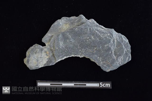 穿孔石板藏品圖，第1張