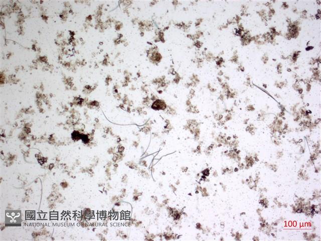 登錄號:A00004649藏品圖，第2張
