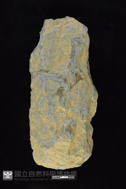 斧鋤形器藏品圖，第1張