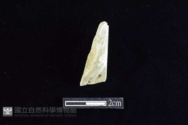 錛鑿形器藏品圖，第1張