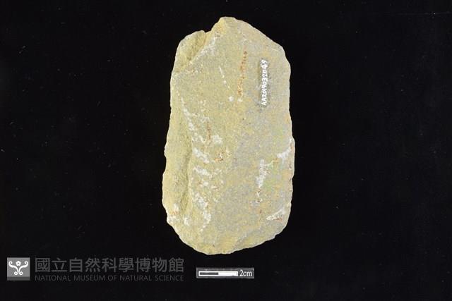 斧鋤形器藏品圖，第2張