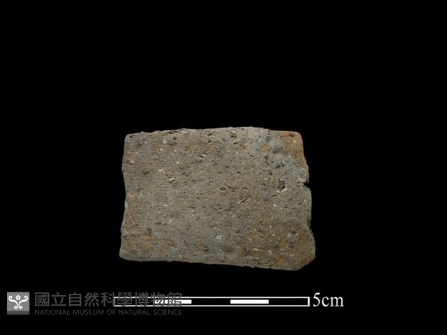 陶把藏品圖，第1張