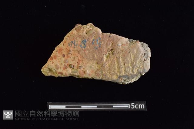 陶片藏品圖，第1張