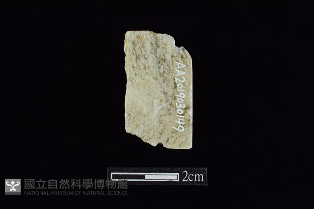 錛鑿形器藏品圖，第2張