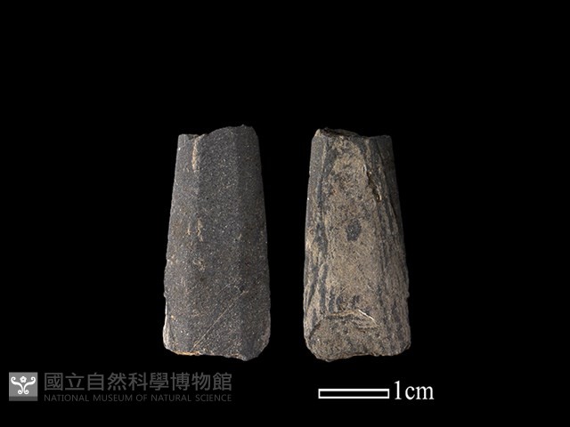 矛鏃形器藏品圖，第1張