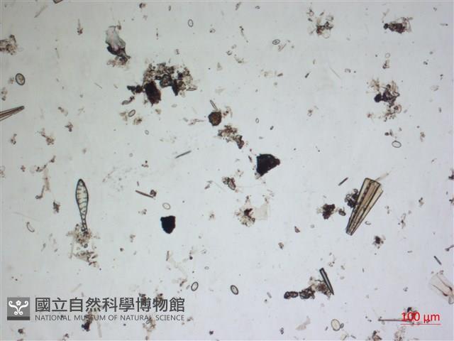 登錄號:A00004549藏品圖，第2張