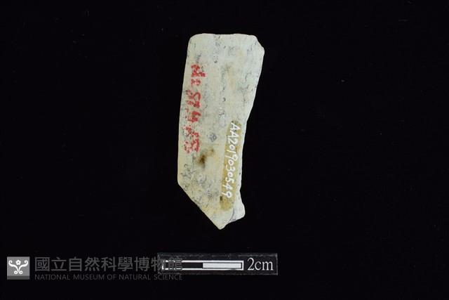 玉環藏品圖，第1張