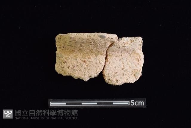 陶罐藏品圖，第1張