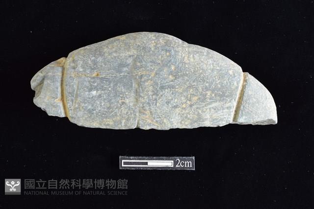 網墜藏品圖，第1張