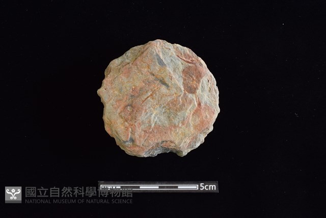 石圓片藏品圖，第1張