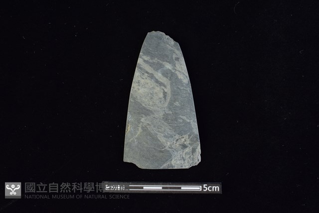 矛鏃形器藏品圖，第1張
