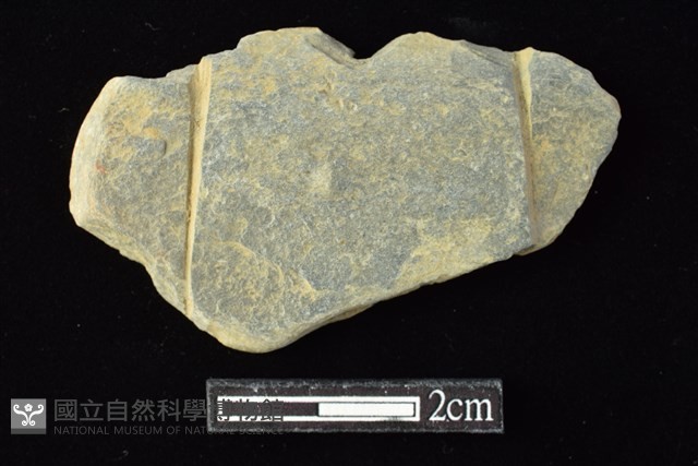 網墜藏品圖，第1張