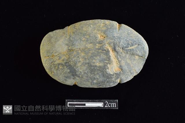 網墜藏品圖，第1張